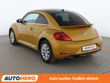 Volkswagen Beetle 1.4 TSI Design BMT*TEMPO*PDC*SHZ* - Volkswagen Beetle Gebrauchtwagen