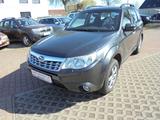 Subaru Forester Comfort - Subaru Forester aus 2012