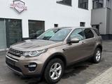 Land Rover Discovery Sport SE AWD - Land Rover Discovery in Herne