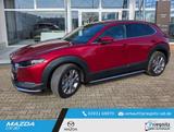 Mazda CX-30 Selection 6GS AL-SELECTION A18 DES-P PRE - Mazda CX-30 Selection mit Hybrid-Antrieb (Benzin/Elektro)