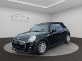 MINI COOPER Cabrio Cooper NAVI/SHZ/PDC/CAM - MINI MINI: Cabrio