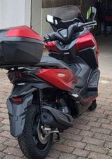 Honda FORZA 125  102 KM, GARANTIE BIS 07.27 TOPANGEBOT - Angebote entsprechen deinen Suchkriterien