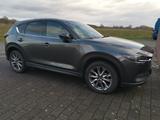 Mazda CX5 AWD Sportsline Plus Bj: 2019 Top... - Mazda: Mazda2 Sport