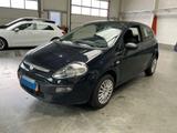 Fiat Punto Evo Active, TÜV NEU - KLIMA - Fiat Punto Evo: Limousine
