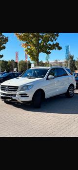 Mercedes-Benz Mercedes ML 350 - Mercedes-Benz ML 350 in Hannover