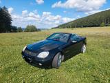 Mercedes-Benz SLK 200 Kompressor "Special Edition" Special... - Mercedes-Benz SLK spec