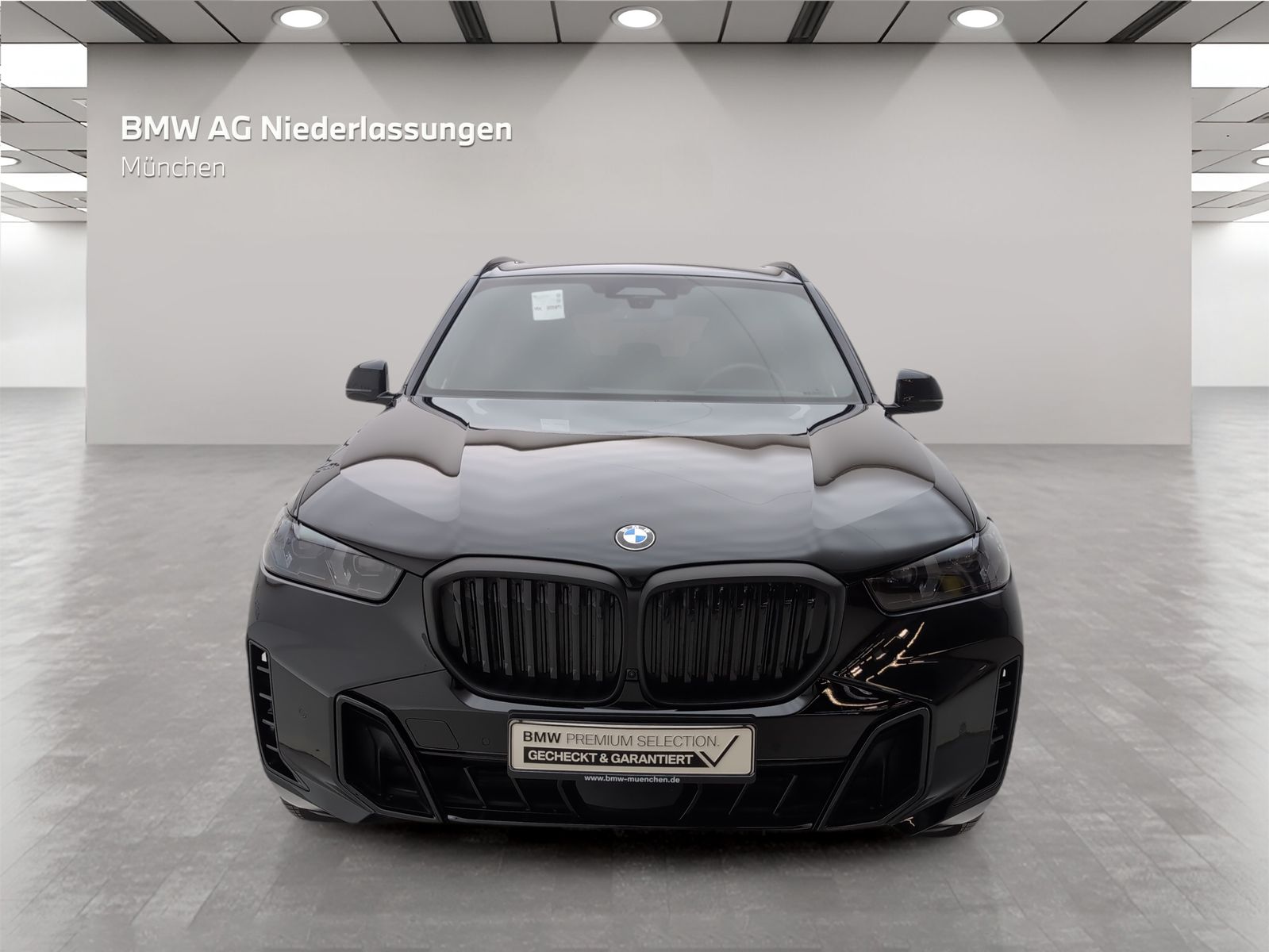 BMW X5 xDrive40d M Sport AHK Driv.Assist.Prof LED foto 3