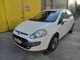 Fiat FIAT Punto Evo 1.4 5 porte S&S Dualogic Aut .Dyn - weiße Fiat Punto Evo