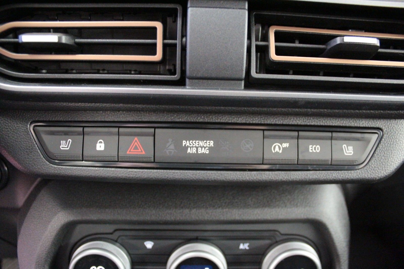 Fahrzeugabbildung Dacia Sandero Eco-G 100 Stepway Extreme+