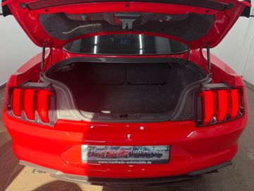 Ford Mustang - 12