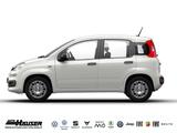 Fiat Panda Hybrid 1.0 GSE PANDINA KLIMA PDC - Fiat Panda: Pandina