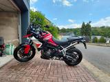 Triumph Tiger 900 GT Aragón Edition *Garantie 2027* - TRIUMPH TIGER 900