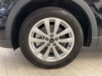 Audi Q3 - Vorschau Bild 15