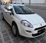 Fiat Punto 1.2 8V - - gebrauchte Fiat Punto aus dem Jahr 2016
