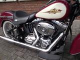 Harley-Davidson FLSTSC Softail Springer Classic - MOTORRAD AUS DEM JAHR 2007