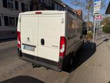Peugeot Boxer - Peugeot Boxer in Frankfurt (Main)