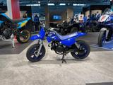 Yamaha PW 50   2026  - DIRT BIKE VON 1 BIS 50 CCM
