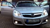 Opel Signum 1.8 - Wenig KM, Fahrwerk NEU, TÜV NEU - Opel Signum mit Benzin-Antrieb: Kombi