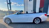 BMW 320i Cabrio  - BMW 320 aus 2010: 320i