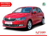 Skoda Fabia 1.0 MPI Joy Klimaaut. Sitzheizung DAB PDC - Skoda Fabia mit Benzin-Antrieb: Kleinwagen