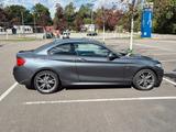 BMW 230i Steptronic Coupé M Sport M Sport - BMW 230: I