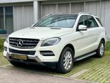 Mercedes-Benz ML 250 CDI BlueTec*Leder*Kamera*Netto 14.933 € - Mercedes-Benz ML 250 aus 2012