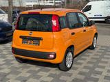 Fiat Panda Easy 1 Hand - Fiat Panda Gebrauchtwagen in Mannheim