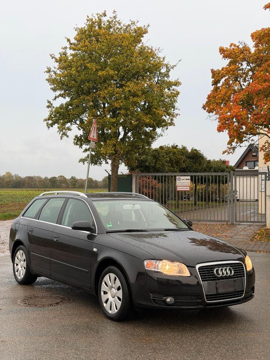 Audi A4 2008 — вигляд ззаду