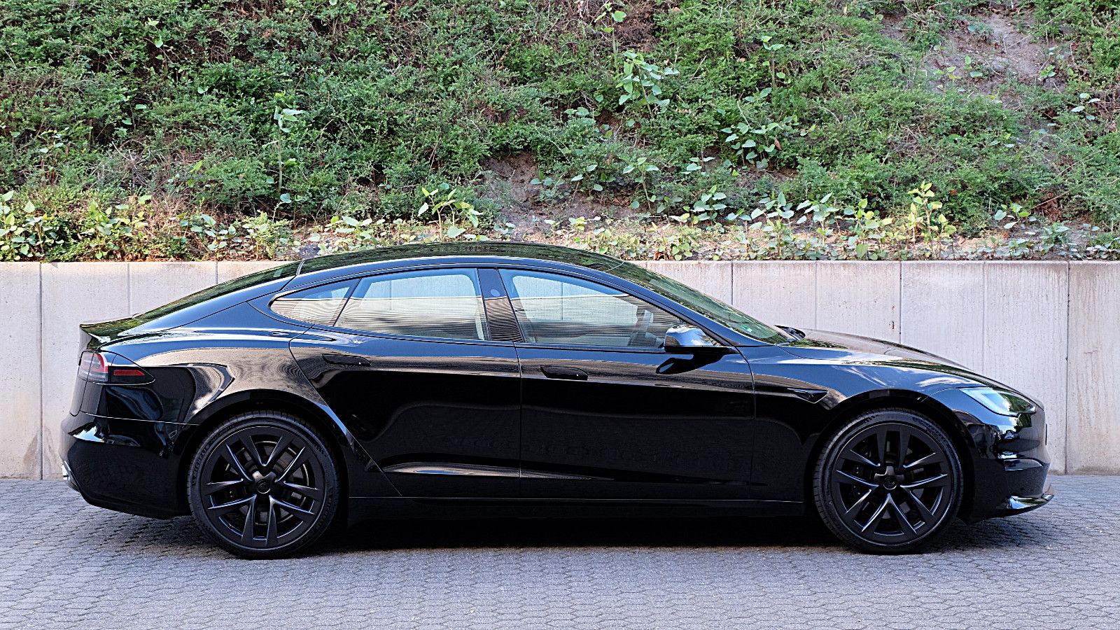 Tesla Model S Dual Motor Performance foto 2