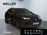 Lexus NX 450h+ E-FOUR Executive Line *LED*360°*ACC*PDC - Lexus NX 450h SUV