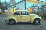 Volkswagen Käfer 1200 Scheunenfund Motor fest - Oldtimer: bis 5000 €
