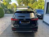 Lexus NX 300 300h - - Lexus NX 300
