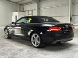 Audi S5 Cabriolet / B&O / Leder rot - gebrauchte Audi S5 aus dem Jahr 2013