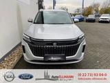 DFSK Fengon E5 PHEV BESTELLFAHRZEUG --> silber grau