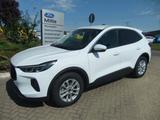 Ford Kuga Titanium Automatik 11.722 km - Ford Kuga: 7