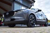 Mazda CX-30 2.0 6AG 150PS Homura Voll-LED Navi Kamera  - Mazda: V6