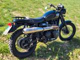 Triumph Scrambler 900 EFI - TRIUMPH 900 SCRAMBLER