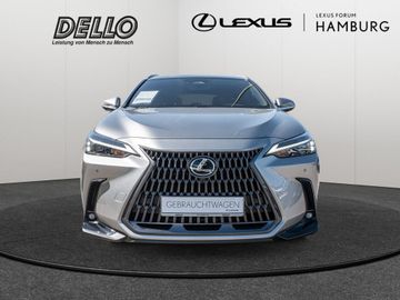 Lexus NX 450h - 2