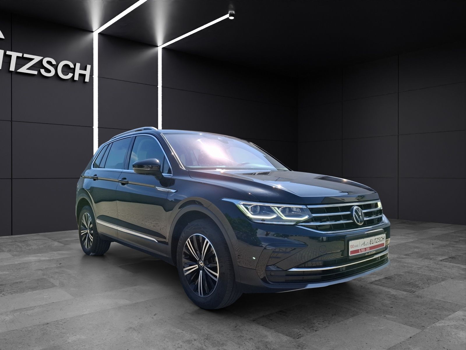 Fahrzeugabbildung Volkswagen Tiguan TDI Elegance 4M STH Matrix AHK Navi AID A