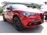 Alfa Romeo Stelvio Quadrifoglio Q4 2.9 V6 Bi-Turbo AD Panor - Alfa Romeo Neuwagen