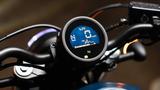 Honda CMX 500 Rebel Special Edition - Vorführer - - CHOPPER VON 251 BIS 500 CCM