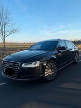 Audi A8 4H 3.0 TDI Lang mit sehr gute Auss... - Audi A8 mit Diesel-Antrieb: Limousine, 4.0