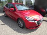 Mazda 2 90 PS AG EXCLUSIVE TOU-P1 NAVI - Mazda 2 in Leverkusen