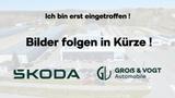 Peugeot Expert Kasten Premium L3 TWIN CAB - weiße Peugeot Expert