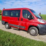 Fiat TransportVAN/9Sitzer/ FIAT Multijet 115/ A... - Fiat Ducato: Kleinbus, Sitzer 9