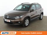 Volkswagen Tiguan 1.4 TSI Trend & Fun BM Tech*NAVI*CAM* - VW Tiguan Gebrauchtwagen in München