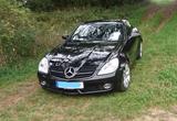 Mercedes-Benz SLK 200 KOMPRESSOR Sport Edition Sport Edition - Mercedes-Benz SLK 200: Sport