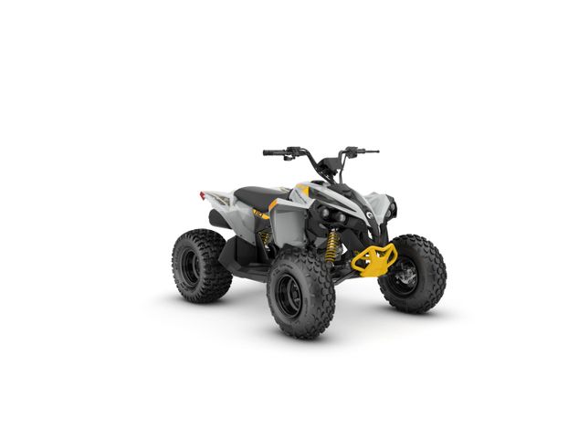 Can-Am Renegade 110 STD EFI