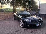 Mercedes-Benz SLK 200 Kompressor - - Mercedes-Benz SLK 200 Gebrauchtwagen in Köln