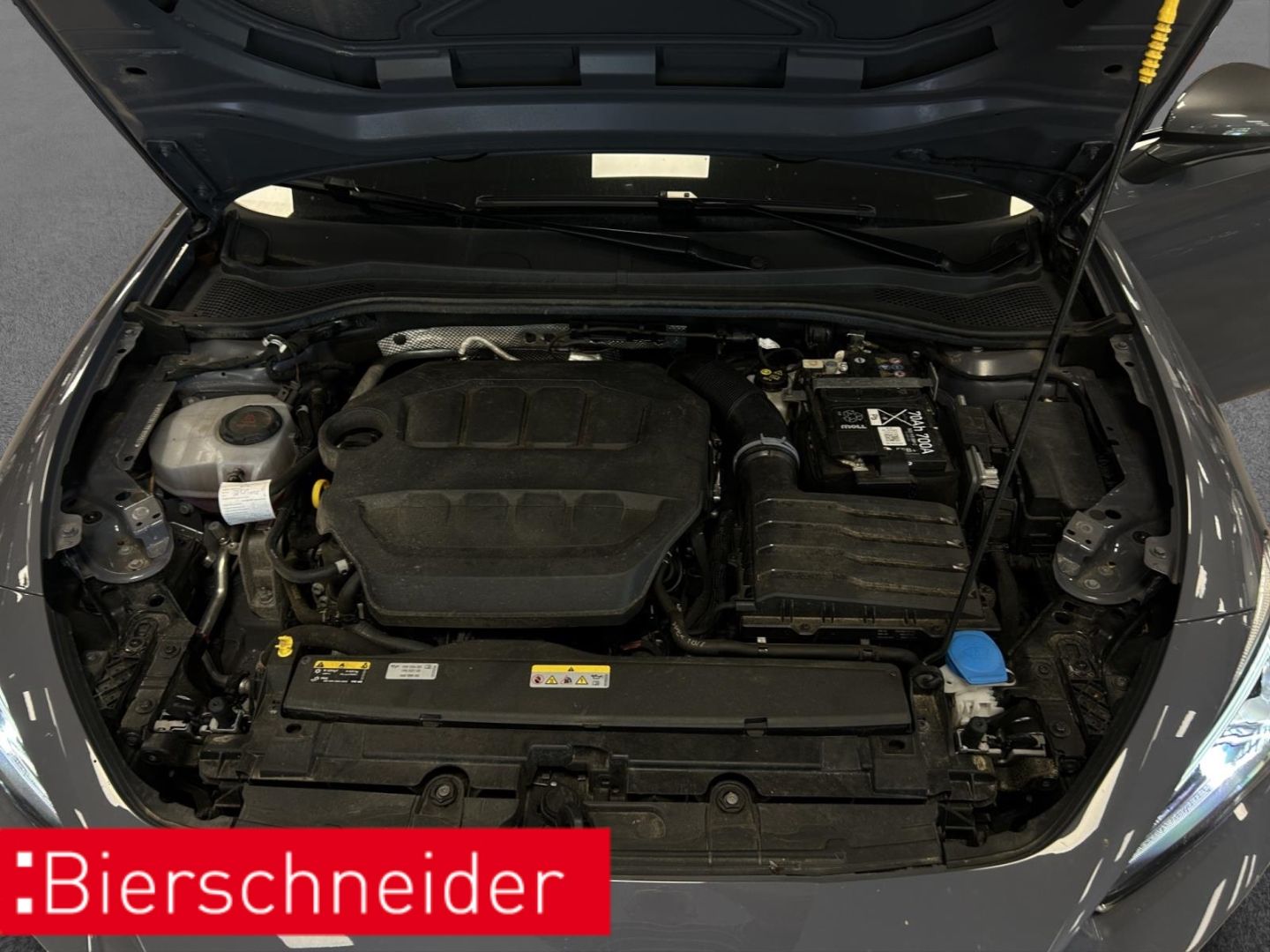 Cupra Leon - Bild 26